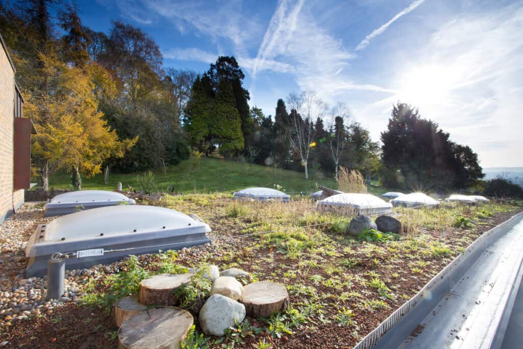 Helping the environment through sustainable architecture