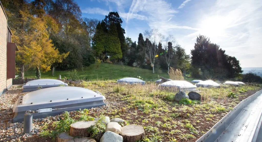 Helping the environment through sustainable architecture